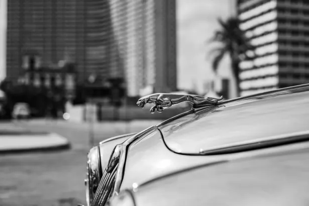 BetRegal Kasino Android/iOS Aplikácia